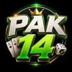 PAK 14 GAME APK